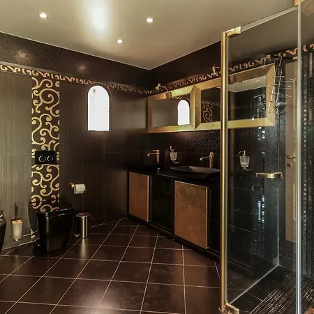 Soley فيلة كان